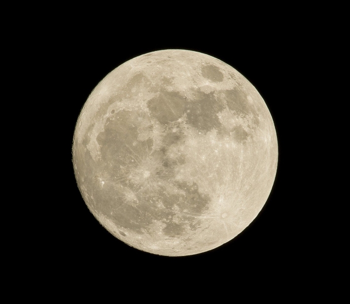 261001763_1