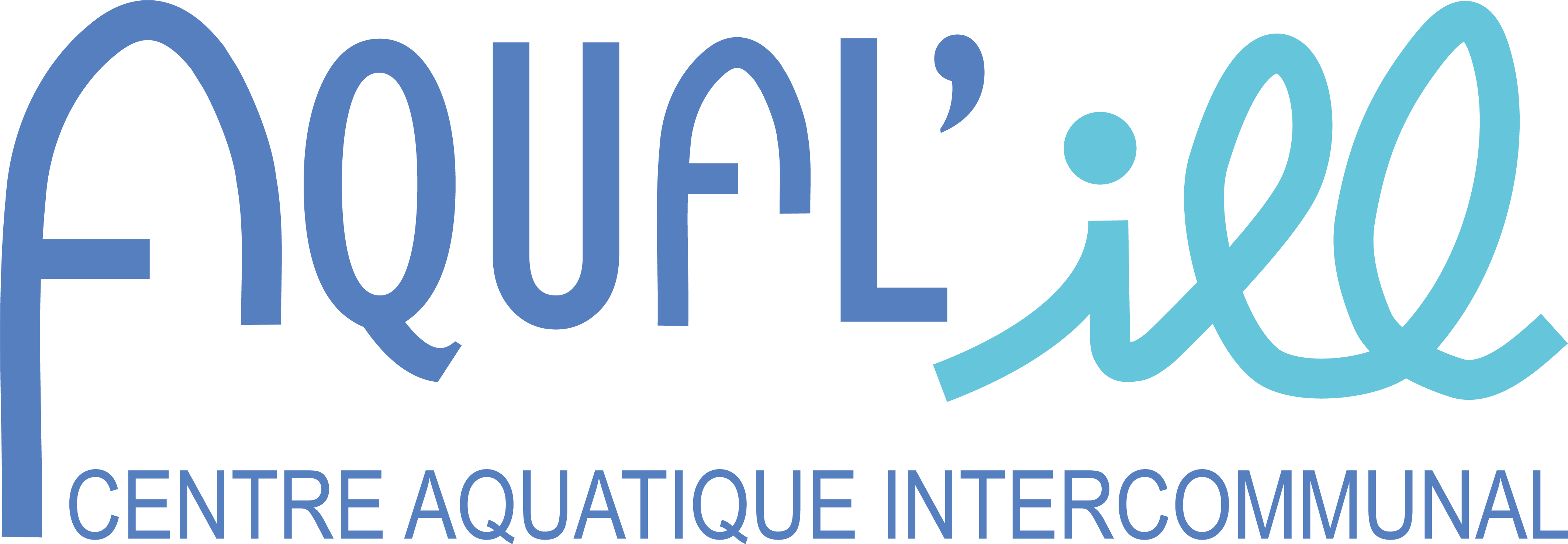 logo_long_Aqual_ill_CCCE2024.png